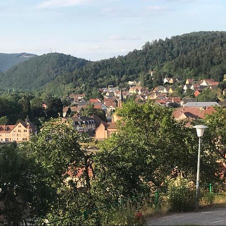 Rothau Chez Jose 아파트 외부 사진